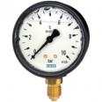 Bourdon tube pressure gauge, copper alloy Liquid filling, plastic case