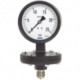 Diaphragm pressure gauge Grey cast iron case